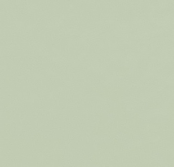 180990 4183 pistachio